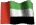 Flag in Honor of United Arab Emirates